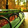 Central Park in Autumn. Public domain image.