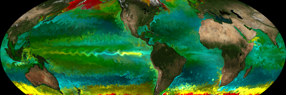 Courtesy of Mick Follows - simulated phytoplankton biogeography from ocean model
