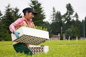 Washington Creates an Innovative Training Program for Agricultural Employers and Workers