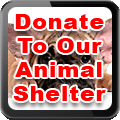 Animal Shelter Donation