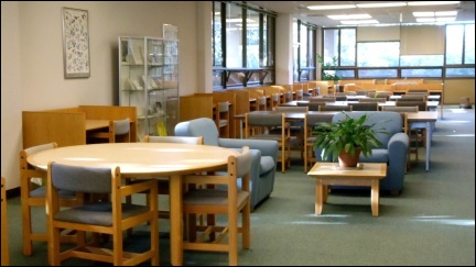 Falconer Library Interior