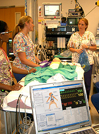 Simulation Modalities - Mannequin-based Simulation