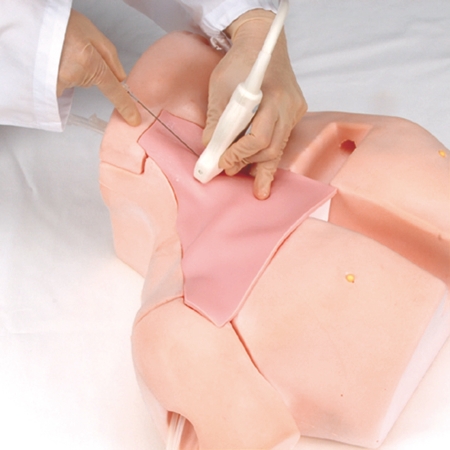 CVC Insertion Sim