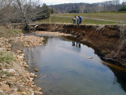 Image: Riparian Zone and Stream Restoration 