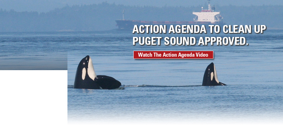 Are we losing our chance to save Puget Sound