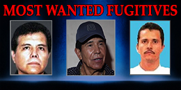  Most Wanted Fugitives image