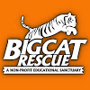 Big Cat Rescue