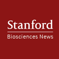 Stanford News logo