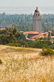 Stanford campus in the Bay Area