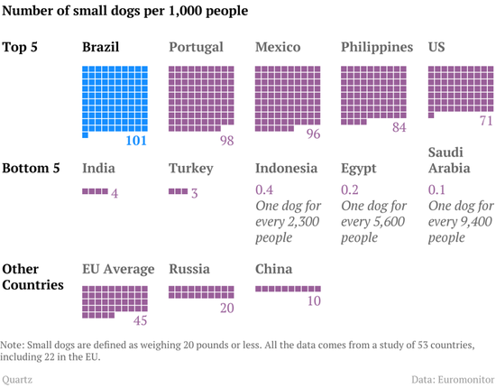 Brazil-small-dogs1