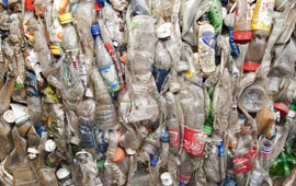 crushed plastic bottles at Stanford Recycling Center