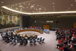 Security Council Considers Middle East Situation, Including Palestinian Question