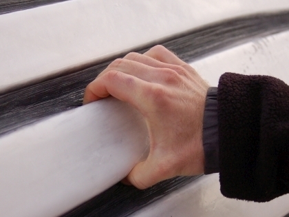 Close up of the ventral pleats of a fin whale (Balaenoptera physalus)