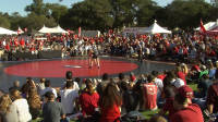 Wrestling at Fan Fest