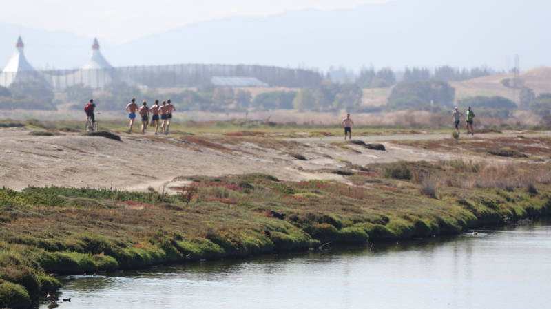 Grant Fisher and teammates at the Baylands. Photo by David Kiefer.