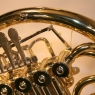 French Horn