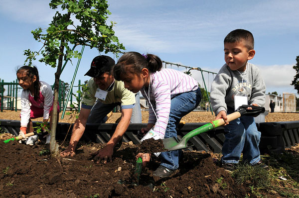Elementary school children planting a tree