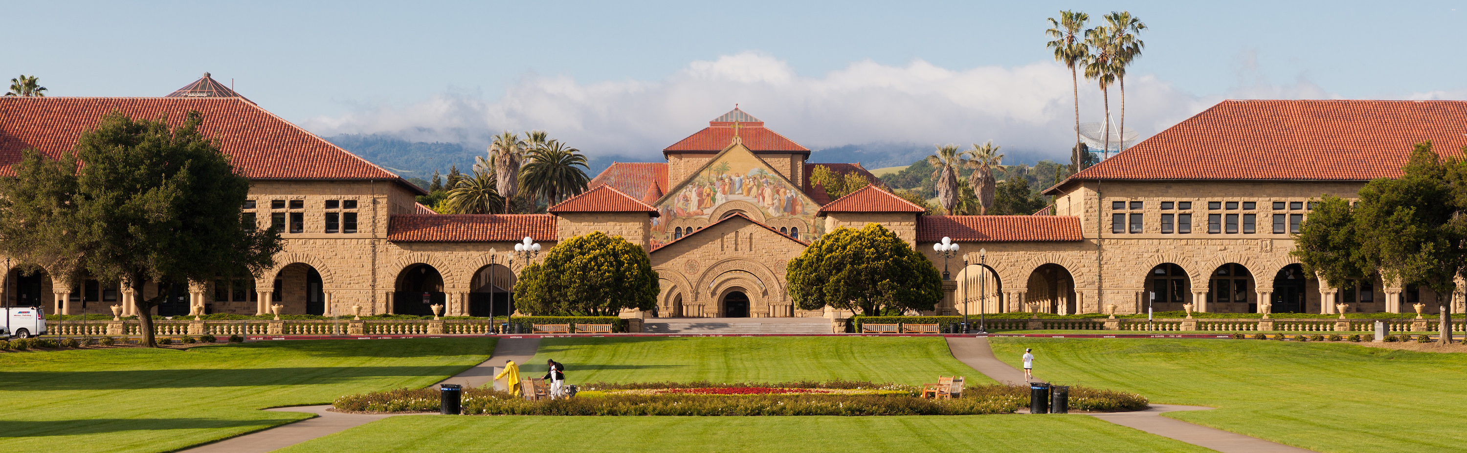 stanford_palm_large