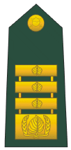 Generalpodpolkovnik