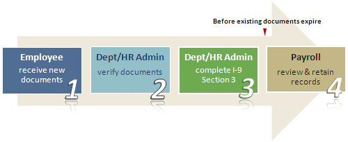 Employment Eligibility Update Workflow - Roles and Responsibilities