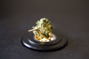 Pot industry’s predicament: How to measure potency - Photo