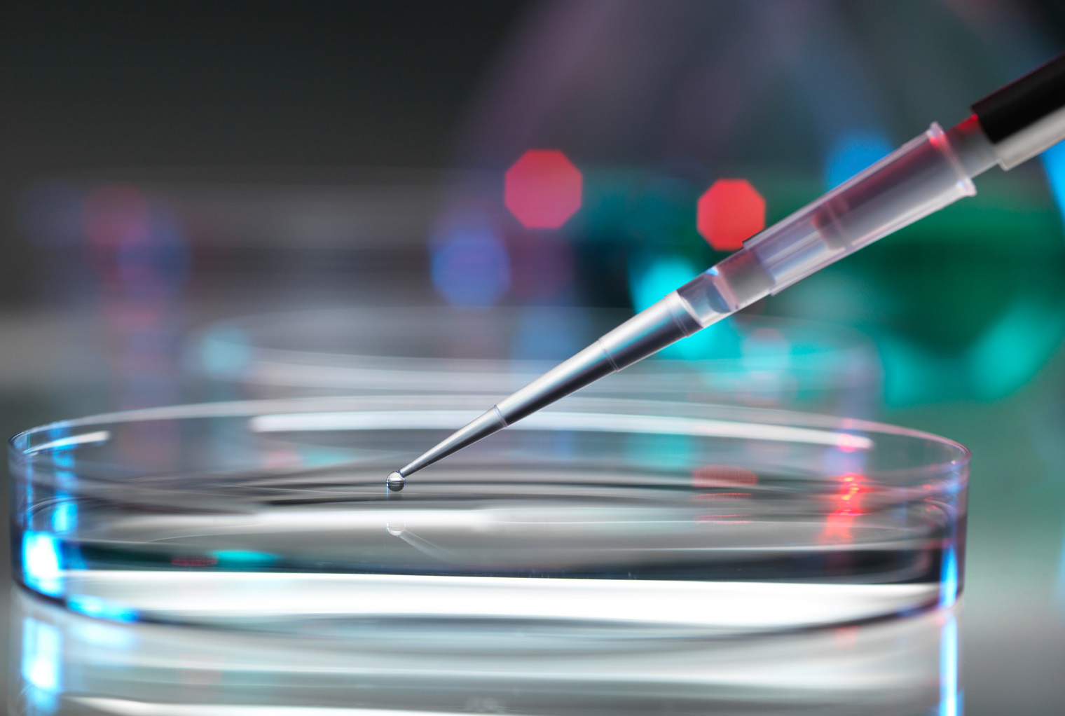 A pipet gently releasing a clear solution into a rack of test tubes.