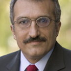 Abbas M. Milani