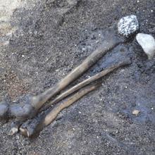 Archaeological excavations in Denmark shed fresh light on a fierce battle in Northern Europe in the first century AD. Cut marks on bones and hip bones threaded on a stick hint at the possibility of ritual in the disposal of human remains, according to the authors.