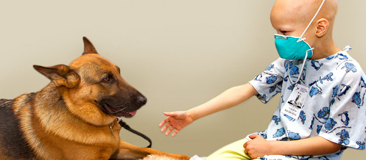 Stanford Children's Health pet therapy volunteer