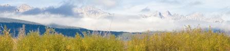 A grassy field with snow capped mountains in the background