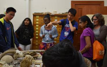 Interns looking at fossils