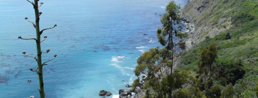 Big Sur coastline