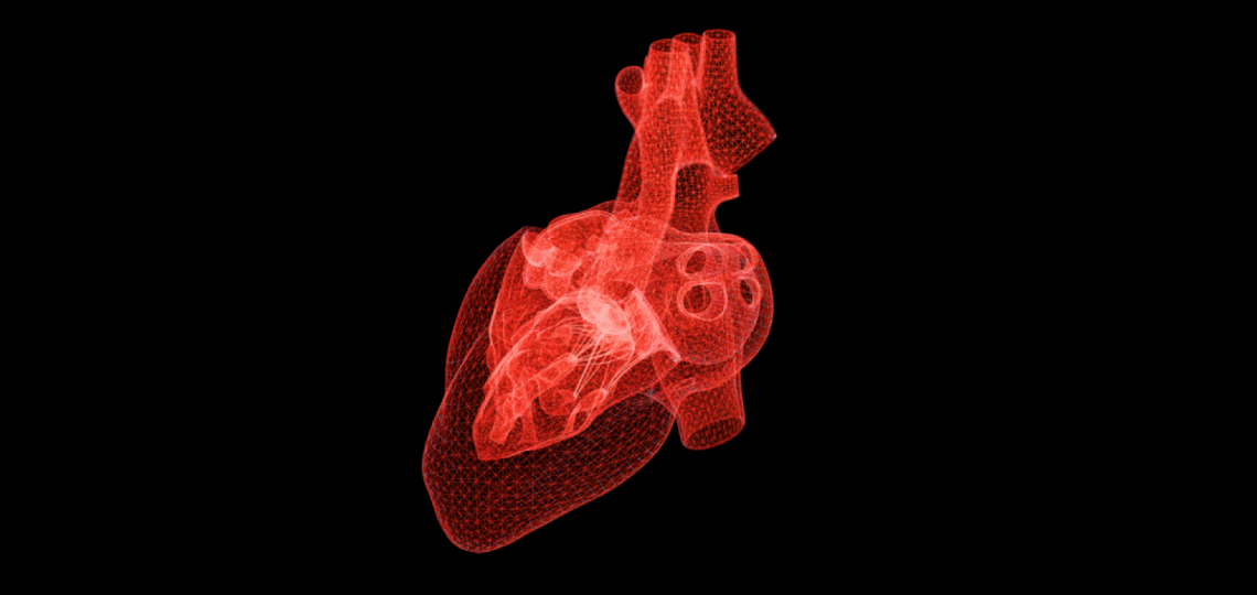 heart illustration