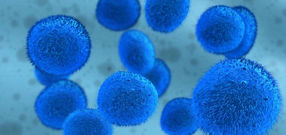 blue stem cells