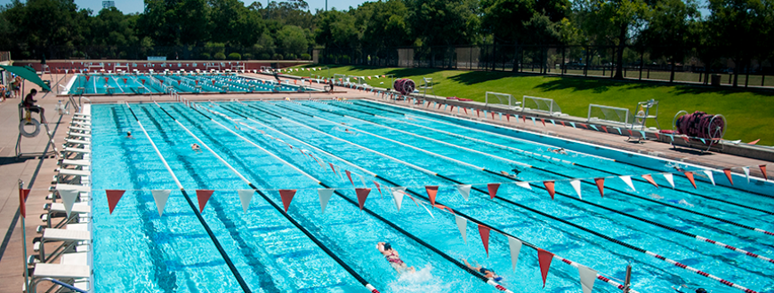 Stanford swimming pool