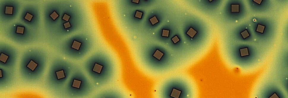 Polymer-fullerene bulk heterojunction thin-film used for organic solar cells in the McGehee group.