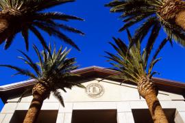 Stanford Alumni Hall - tan building with pointed roof framed by palm trees