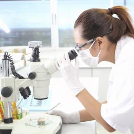 female scientist looking through a microscope in a lab