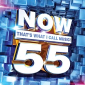 NOW That's What I Call Music, Vol. 55