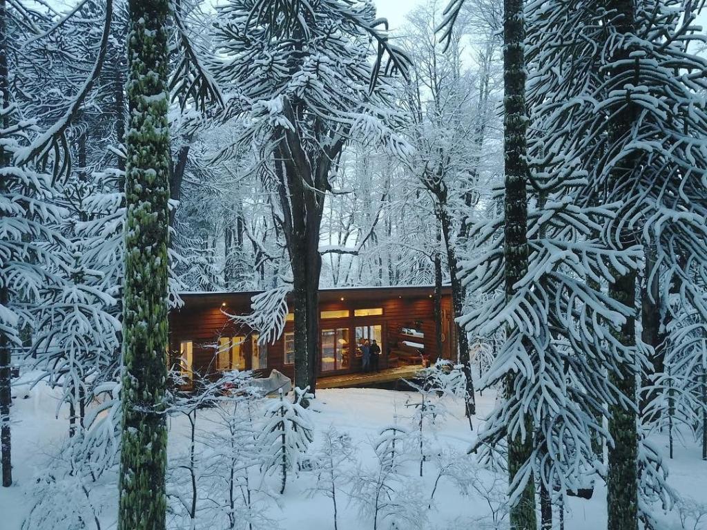 When Chile turns chilly, you'll want to find a cozy cabin like Patricio’s in Malalcahuello.