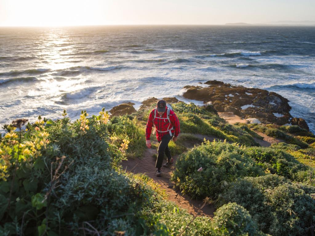 If miles of tourist-free coastline is your idea of heaven, then follow Airbnb Magazine just an hour north of San Francisco to discover the cozy town of Point Reyes abnb.co/75wxa