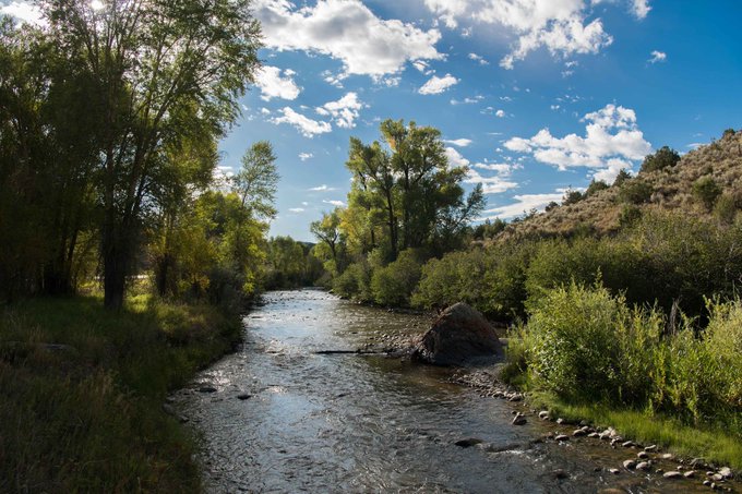 A shallow stream meanders through a hilly area covered in trees and shrubs. 