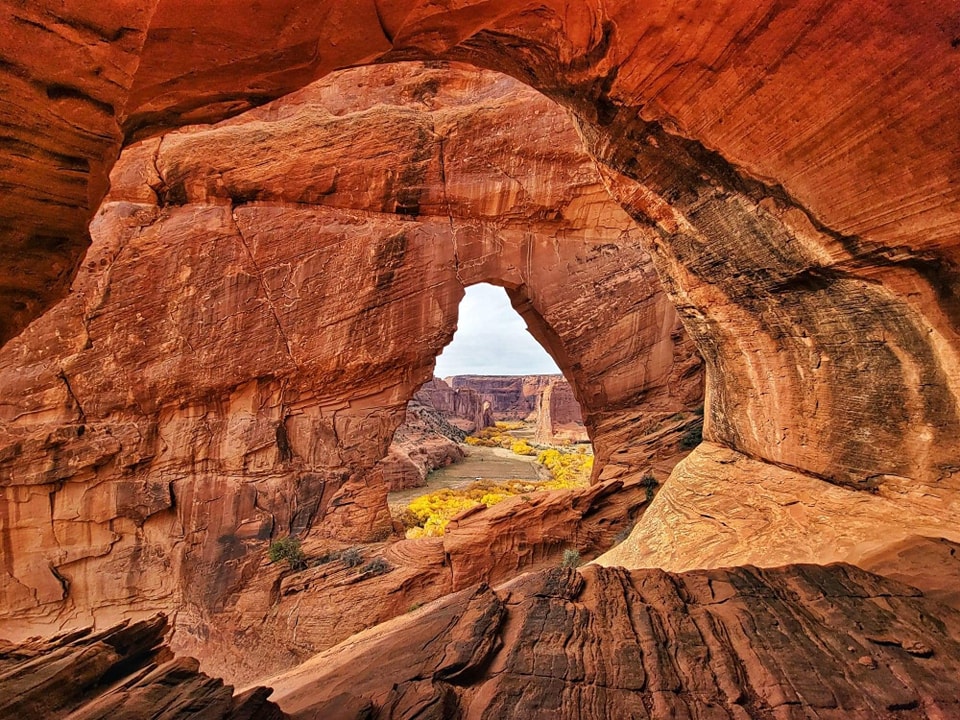 Red sandstone-colored rocks with an opening that looks into a grove of yellow cottonwood trees 