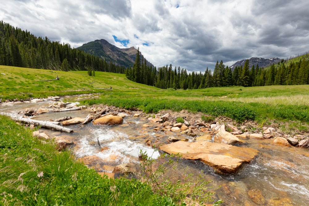 Cloudy sky, green grass and Soda Butte Creek flowing through a field in Montana. 