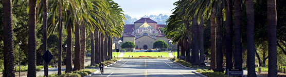 View down Palm Drive