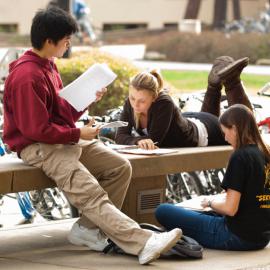 Students studying