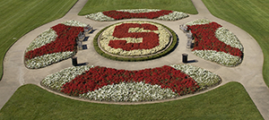 Photo of flowers at the oval. Linda A. Cicero / Stanford News Service
