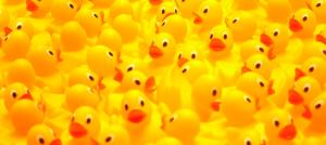 Rubber ducks