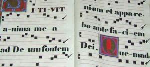 Early music notation.