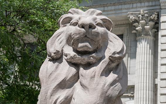 Closeup of the NYPL lion statue.